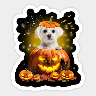 White Maltese Spooky Halloween Pumpkin Dog Head Sticker